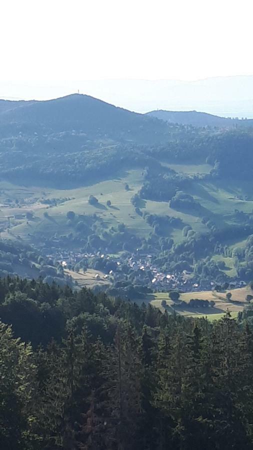 Les O Welches Cote Lac Orbey Zewnętrze zdjęcie