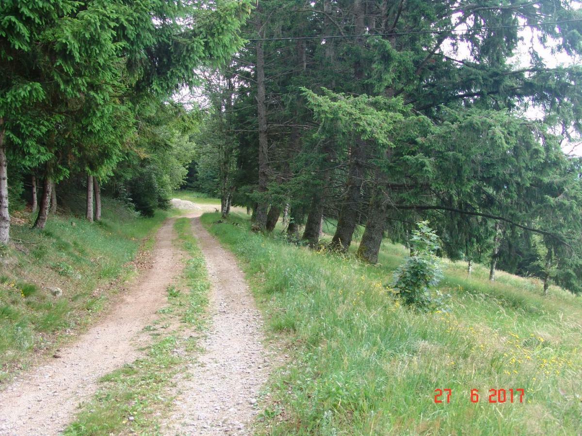 Les O Welches Cote Lac Orbey Zewnętrze zdjęcie
